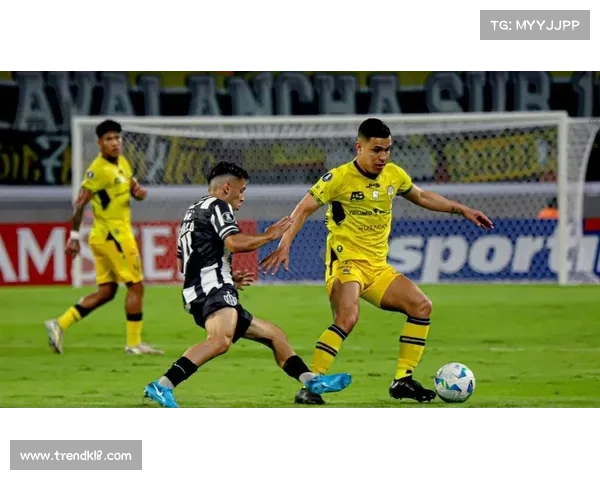 南美解放者杯冠军展现实力 洲际赛事底蕴深厚助力球队腾飞 南美解放者杯冠军展现实力 洲际赛事底蕴深厚助力球队腾飞